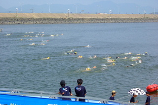 mp_2012.jpg